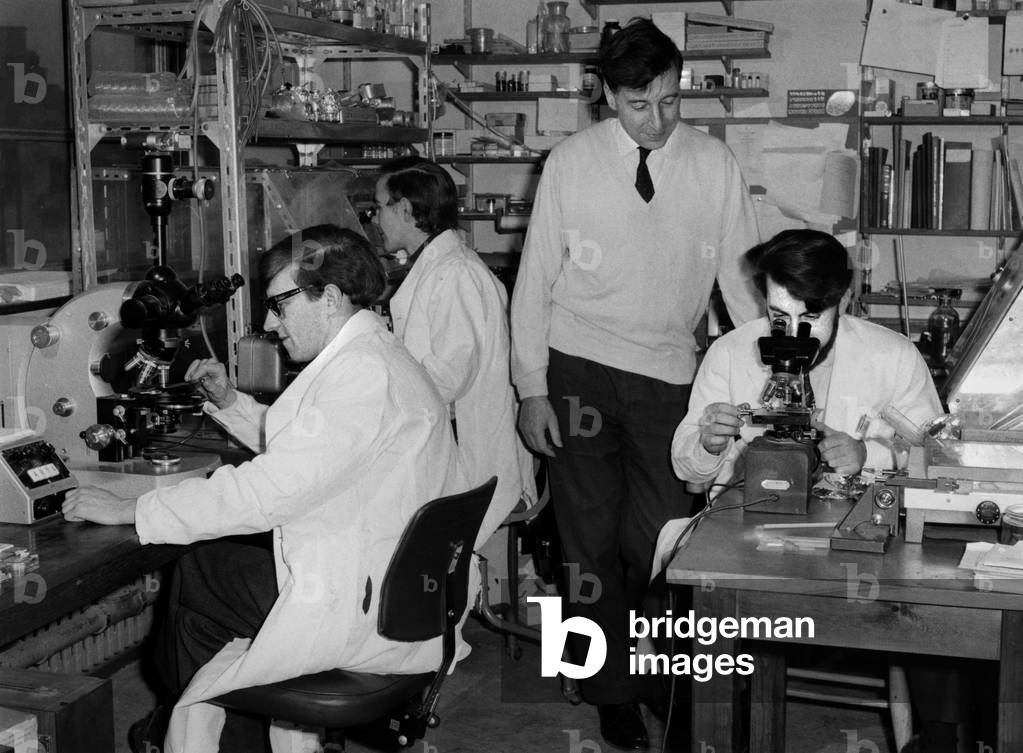 Bild von Fotografie "Dr. Robert Edwards" 1969 von Unknown photographer, b/w