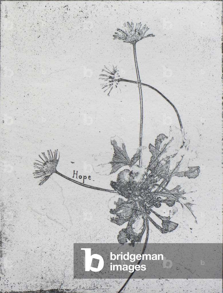 Hope, 2015 (gravure)