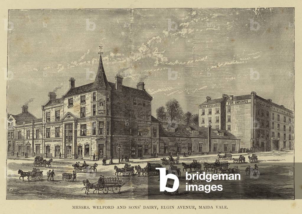 Messrs Welford and Sons' Dairy, Elgin Avenue, Maida Vale (engraving)
