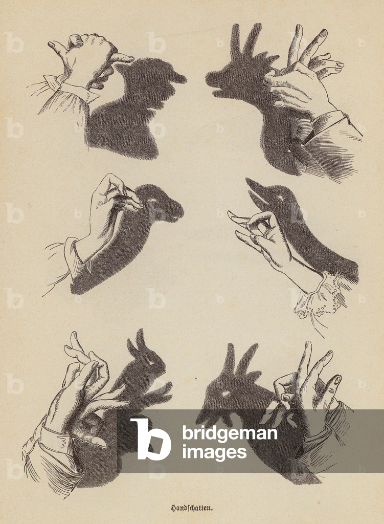 Realizzare animali ombra con le mani (incisione)