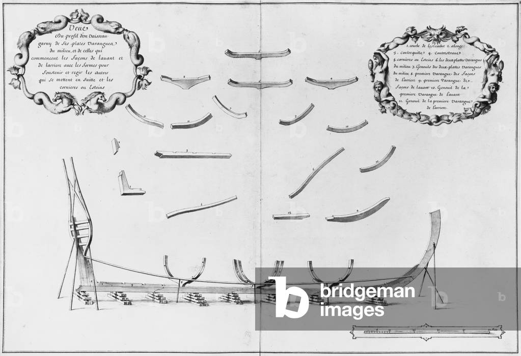 Image of Profile of a vessel with its central floor plates ...