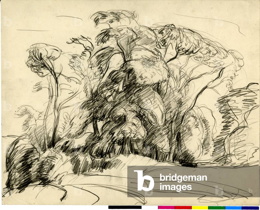 Ciuffo di alberi - Schizzo, 1920-73 circa (matita su carta)