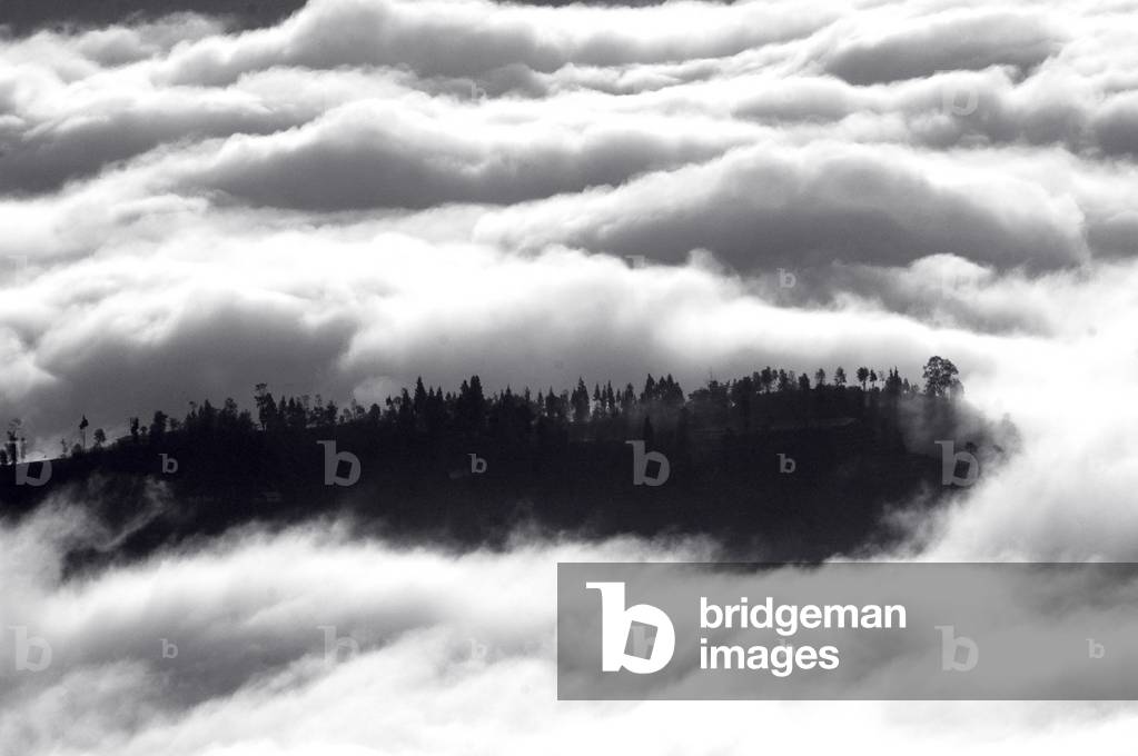 Vista di Kalimpong durante l'inverno.I piedi dell'Himalaya sono inghiottiti dalle nuvole in aumento. La nebbia