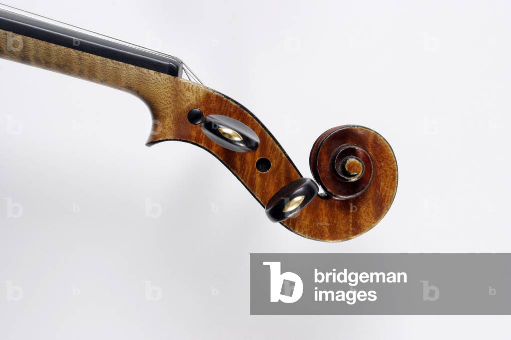 Violino - primo piano