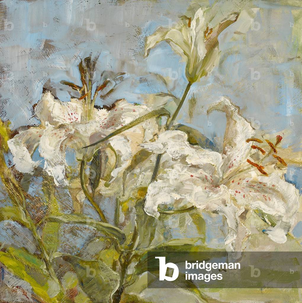 Gigli bianchi con Stami, 2005 (olio su pannello)