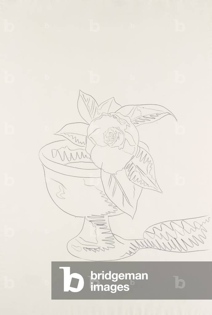Bild von Zeichnung "Blume (# 1-8)", 1975 von Andy Warhol, b/w