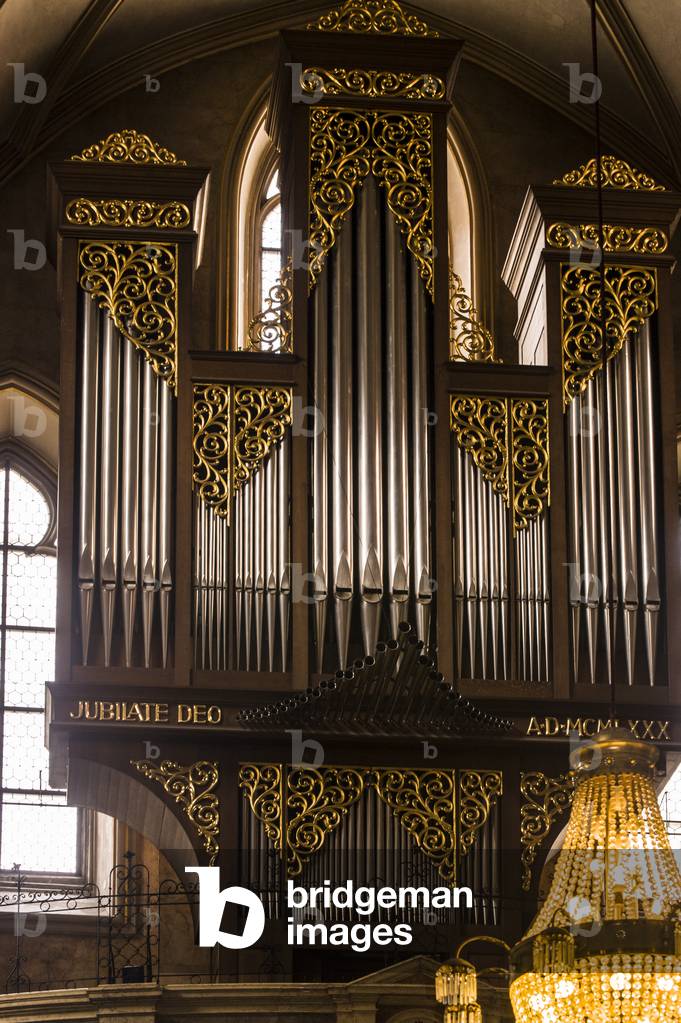 Immagine di Fotografia "Organo Wckherl"