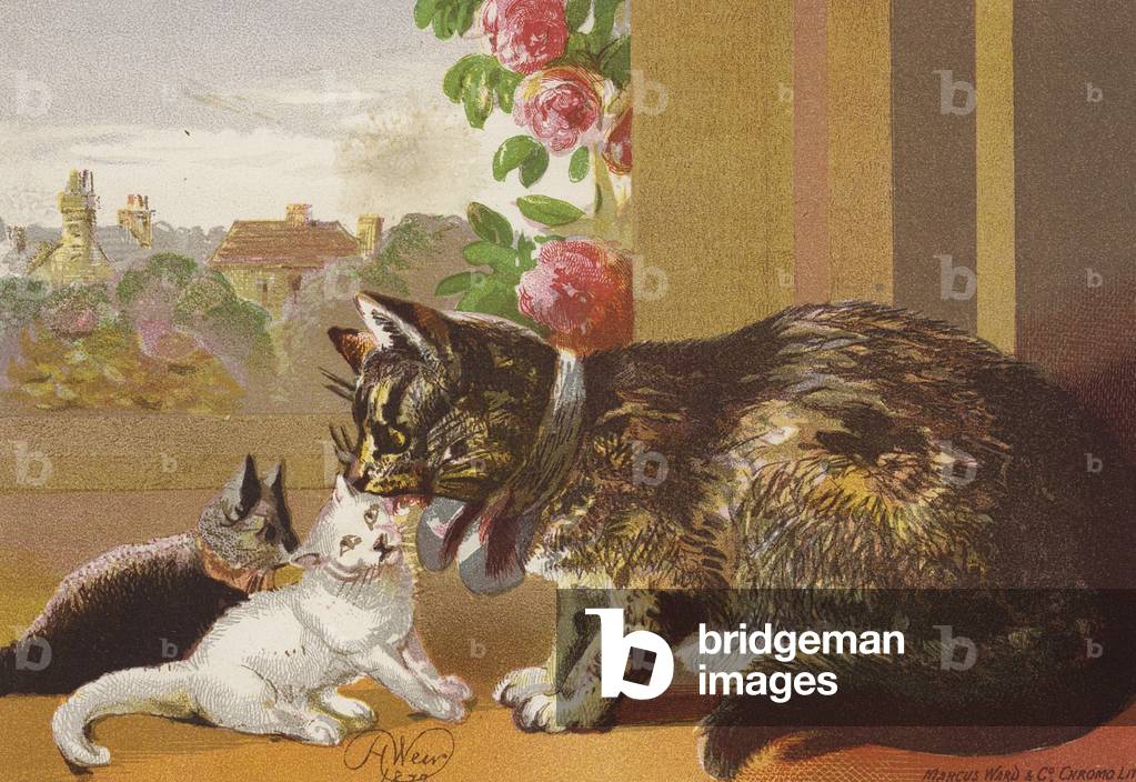 Il gatto e i suoi gattini (litografia a colori)