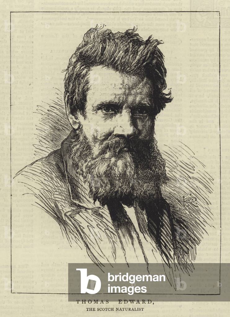 "Thomas Edward (incisione)" di George Reid, b/w