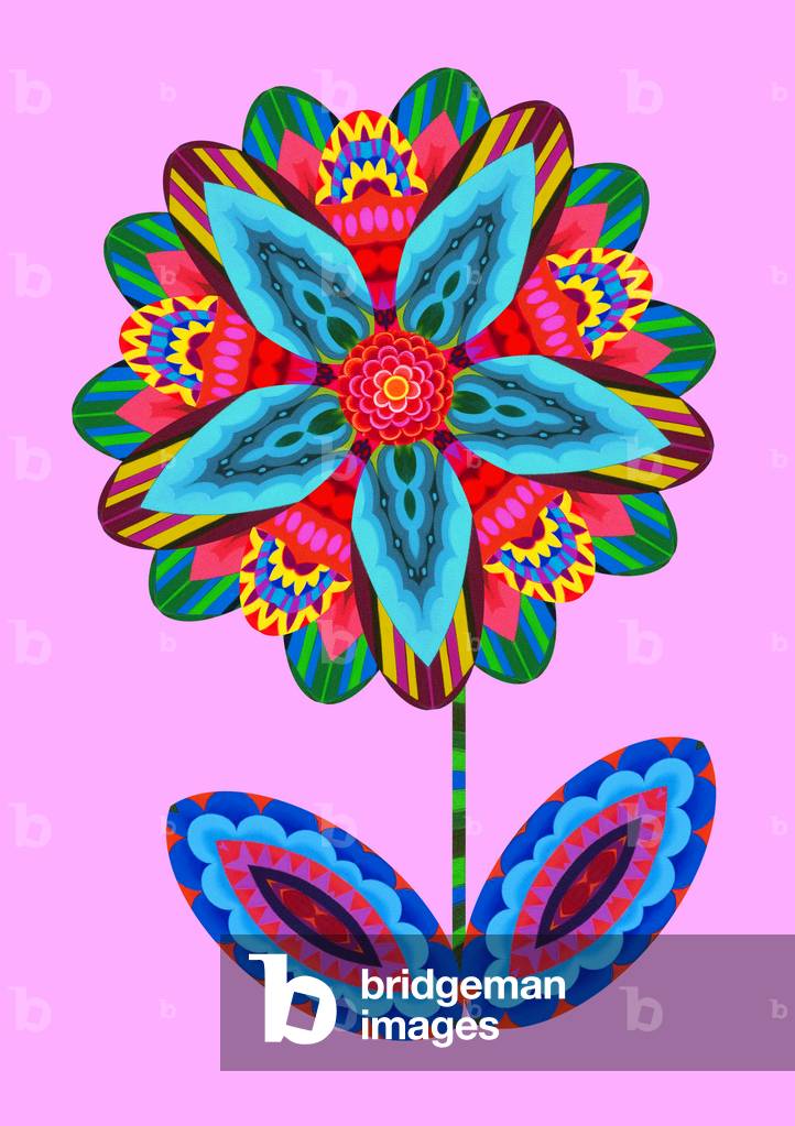 Flower cutout on pink by Jane Tattersfield