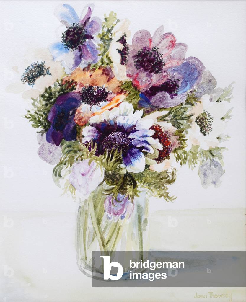 Anemonen in einem Glaskrug, 2000 (Aquarell auf Papier)