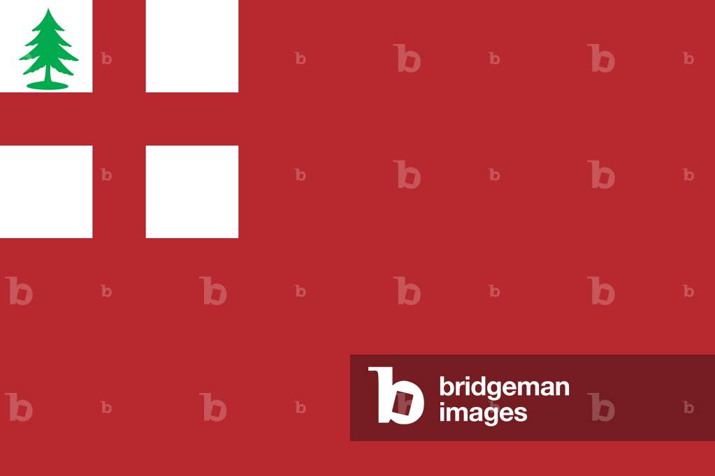 Historische Flagge der Vereinigten Staaten von Amerika. Historische Flagge des kolonialen Neuenglands, in Verw