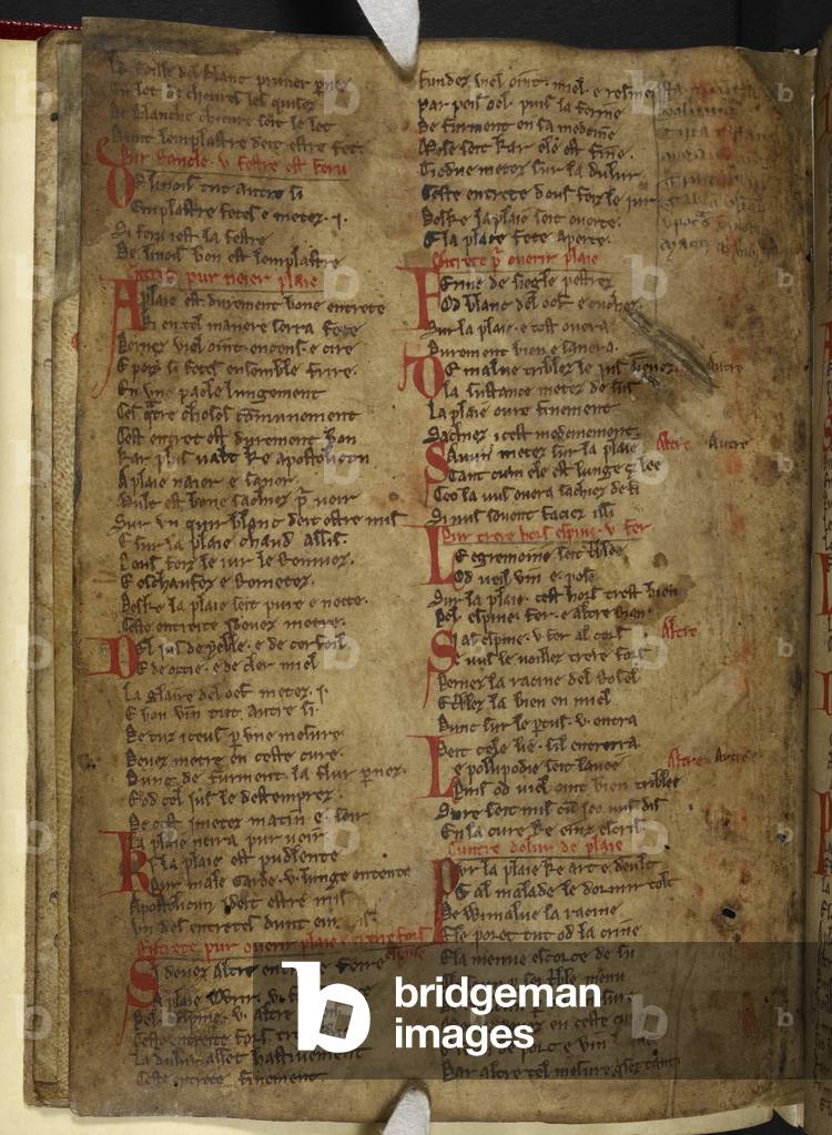 "Harley MS 2558 f.7v" di English School, b/w