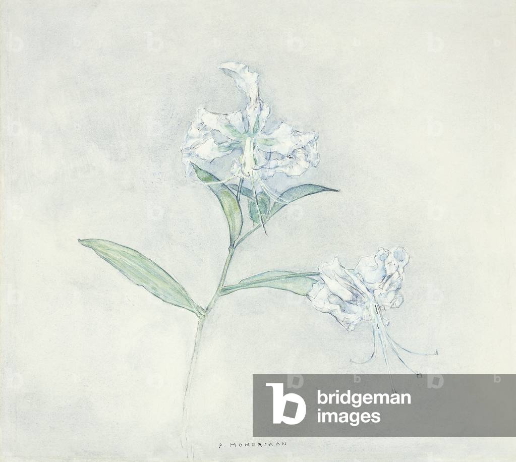 Zwei japanische Lilys, 1925-1924 (Gouache, Aquarell und Bleistift auf Papier)