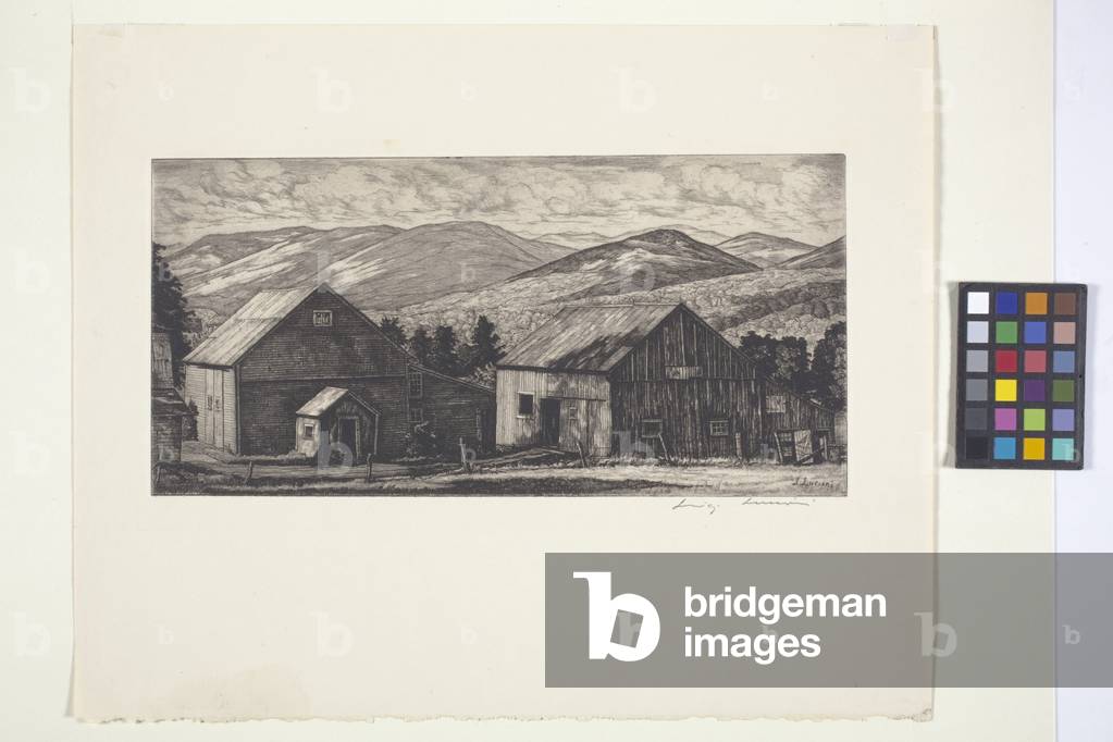Summer Shadows (etching) by Luigi Lucioni