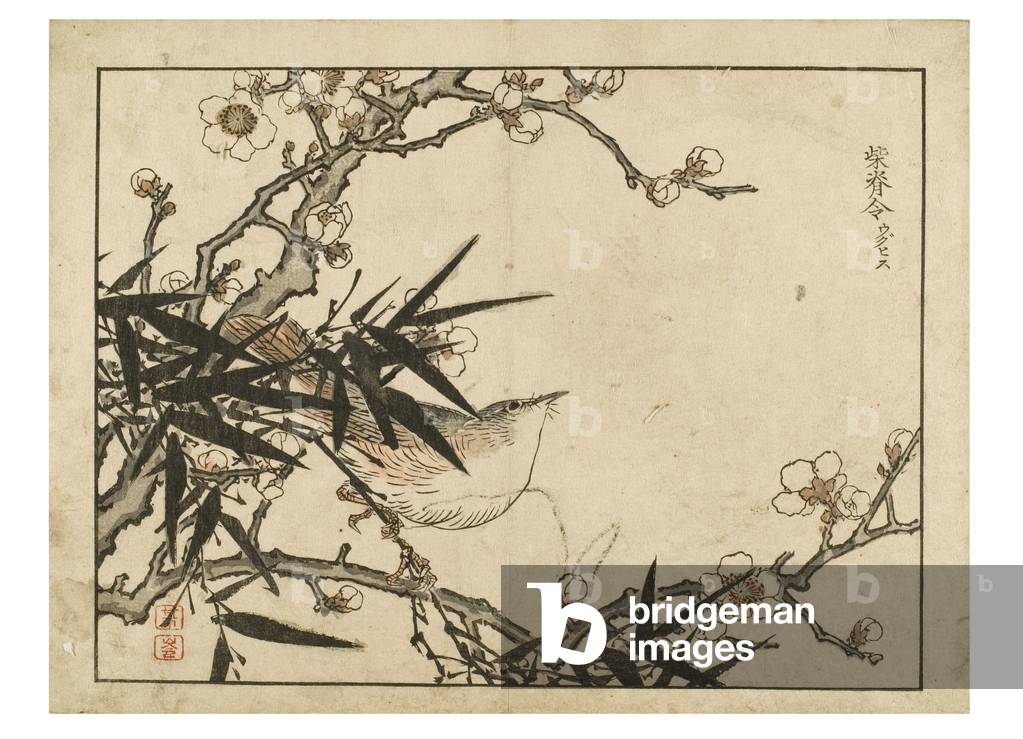 "Bush Laubsänger" 1800 von Japanese School