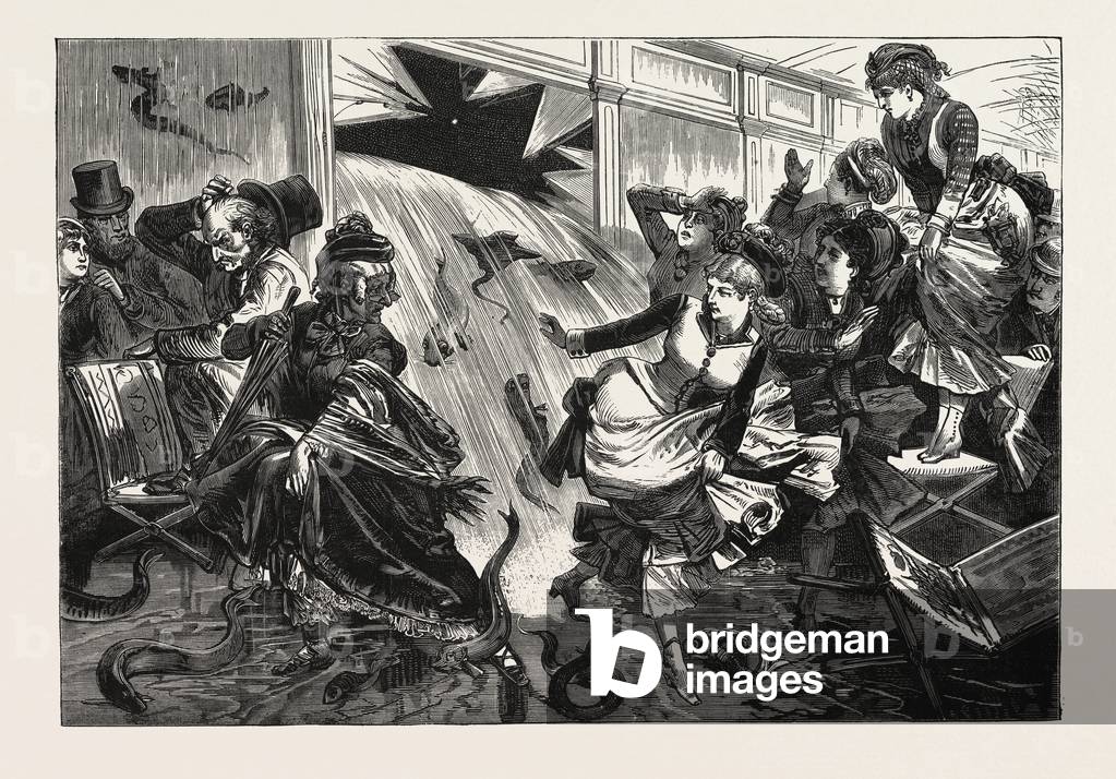 "Emozionante scena al New York Aquarium" 1801 di American School