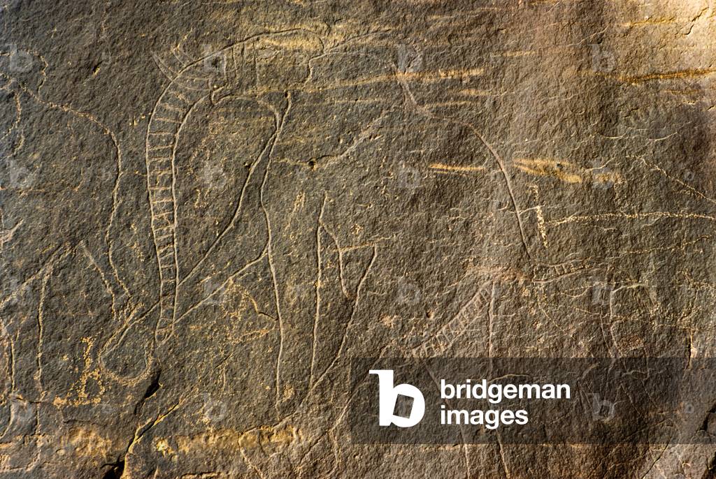 Immagine di Incisione "Incisione rupestre raffigurante un elefante - Tassili n'Ajjer"