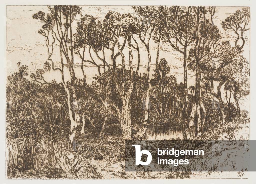 Einsamkeit, 1880 (Radierung auf Papier)