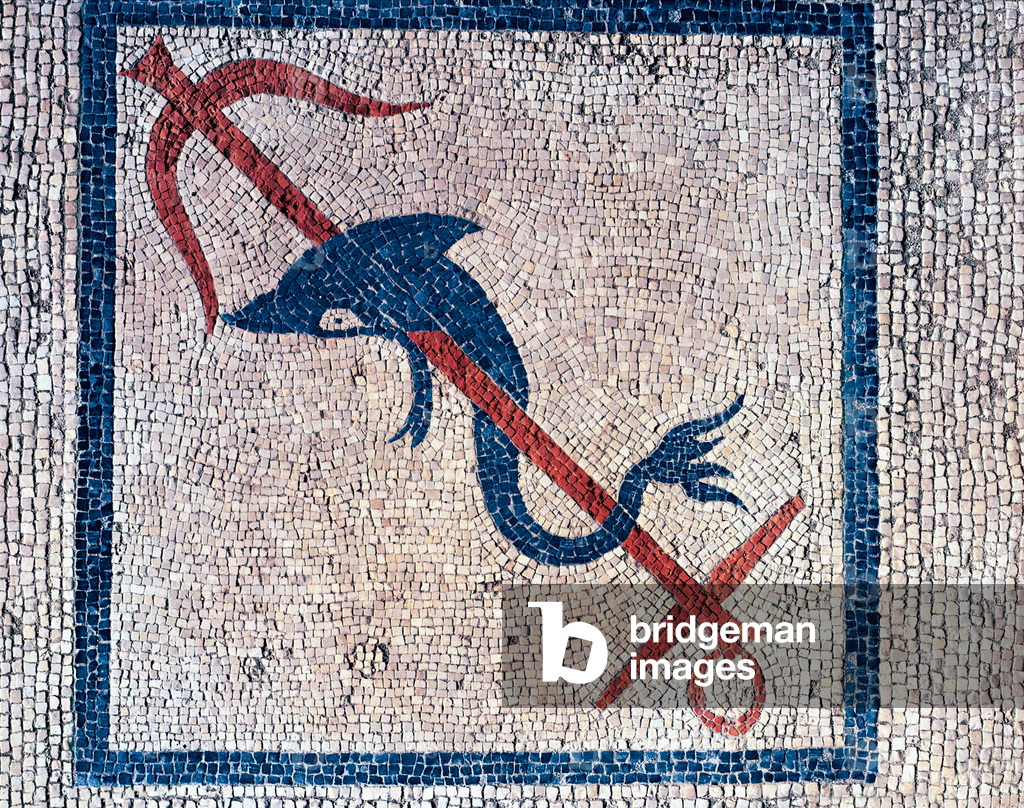 Dolphin with anchor