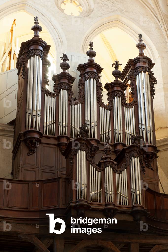 "Organo"