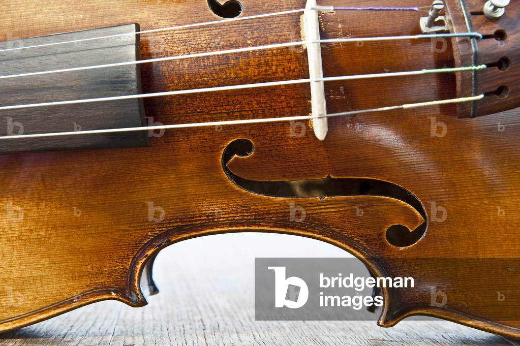 Violino