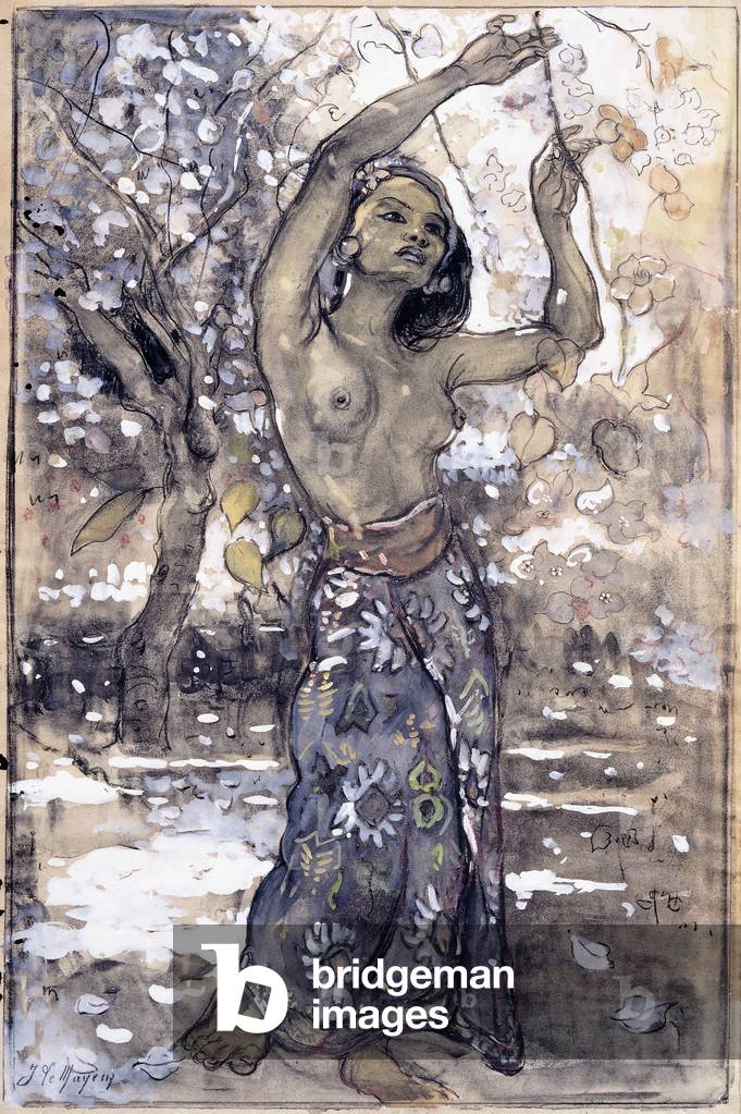 Raccolta di fiori (gesso nero, w/c & body colour su carta)