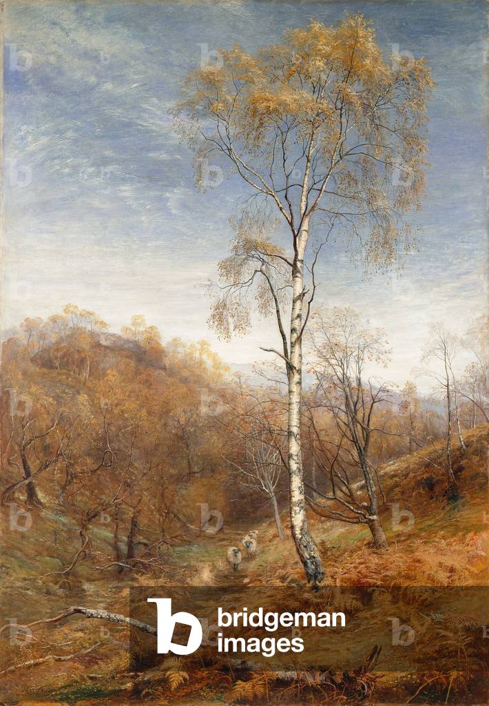 Die Lady Of The Woods, 1876 (Öl auf Leinwand)