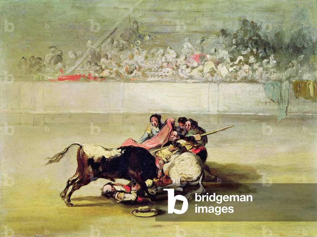 Immagine di Dipinto "la caduta di un picador dal suo cavallo sotto un toro (olio su tela)" di Francisco Jose d