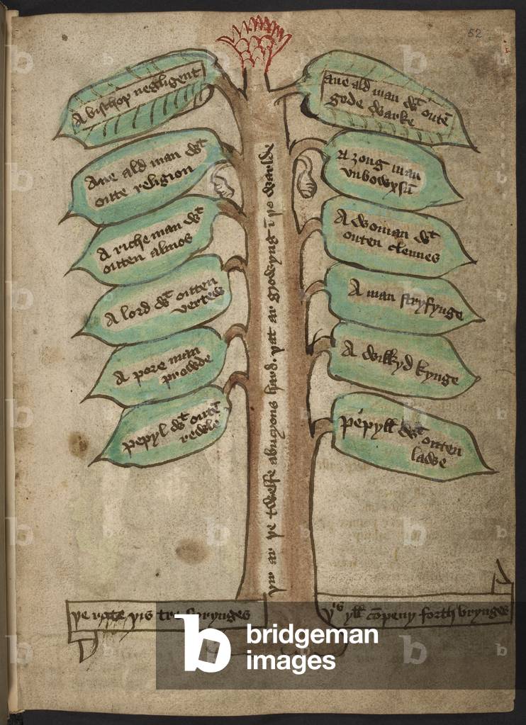 Image of An illustration of a tree with text written on the