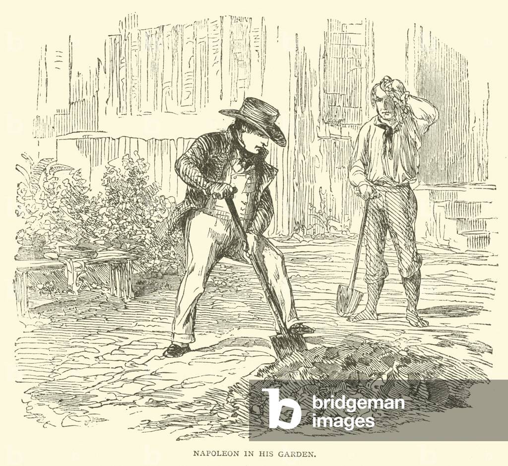 "Napoleone nel suo giardino (incisione)" 1801 di French School, b/w