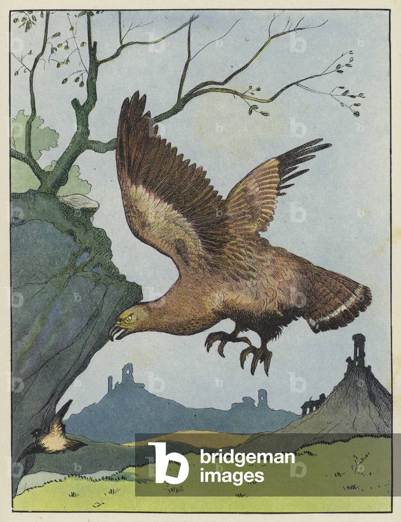 Aquila che insegue un uccellino (colore lito)