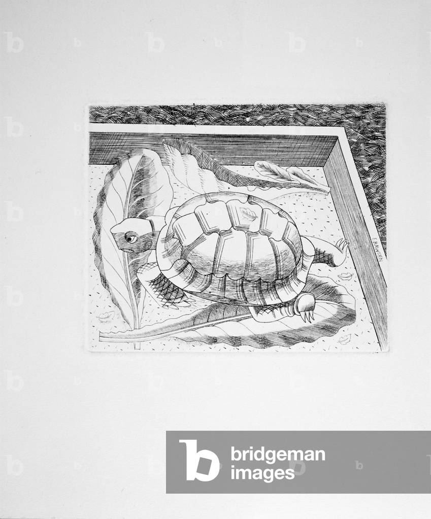 "Schildkröte (Gravur)" von Edward Bawden, b/w