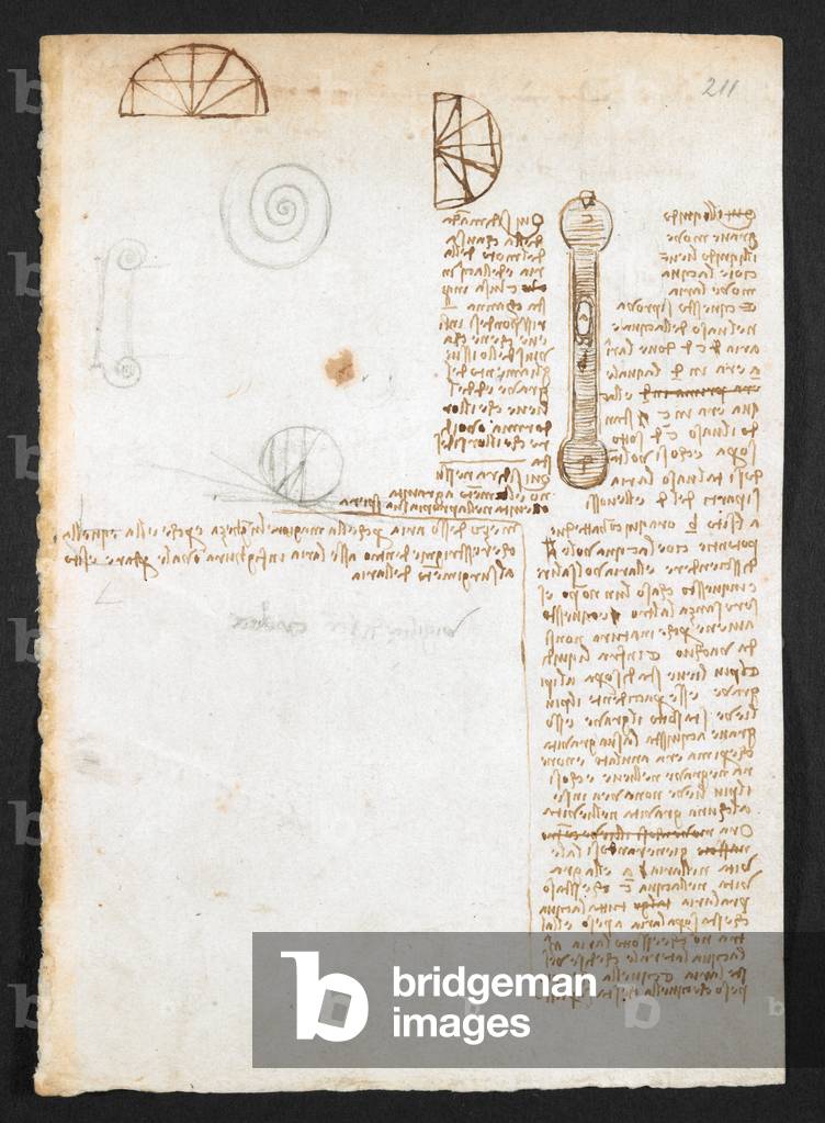 Immagine di Disegno "Arundel 263" 1508 di Leonardo da Vinci, b/w