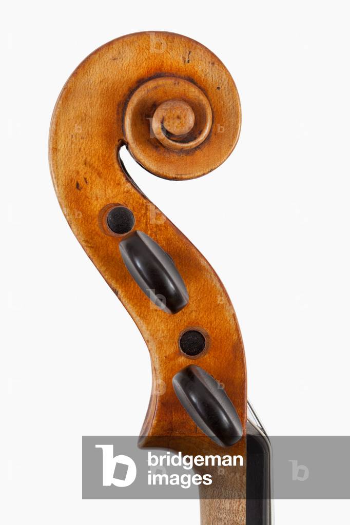 Violin (scroll) by Enrico Ceruti
