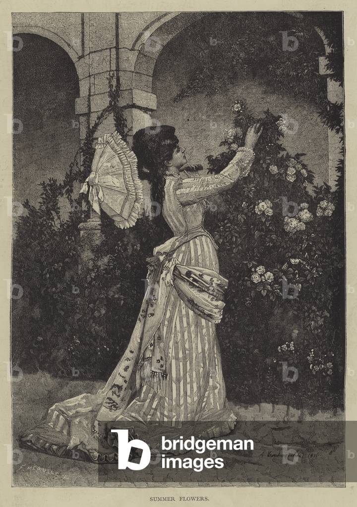 "Fiori estivi (incisione)" 1876 di English School, b/w
