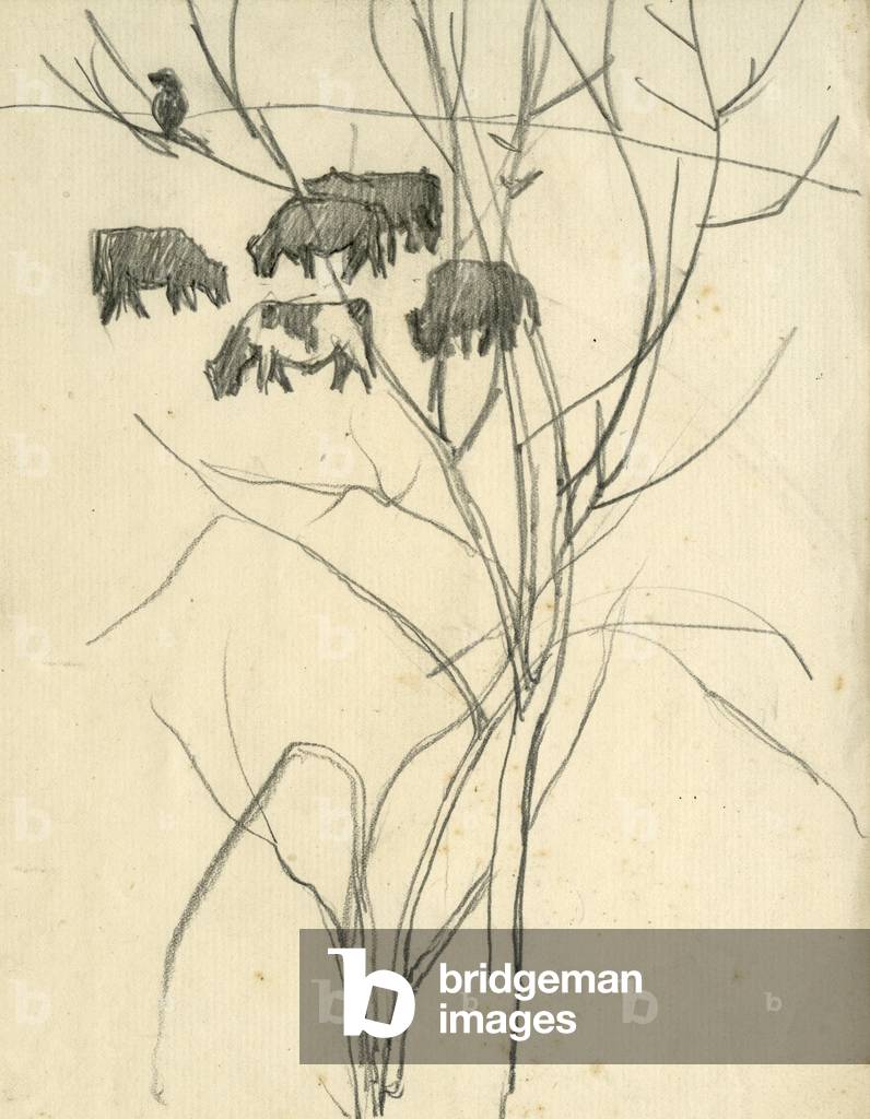 Image de Dessin représentant Vaches Behind a Bare Tree 1920 par William George Gillies
