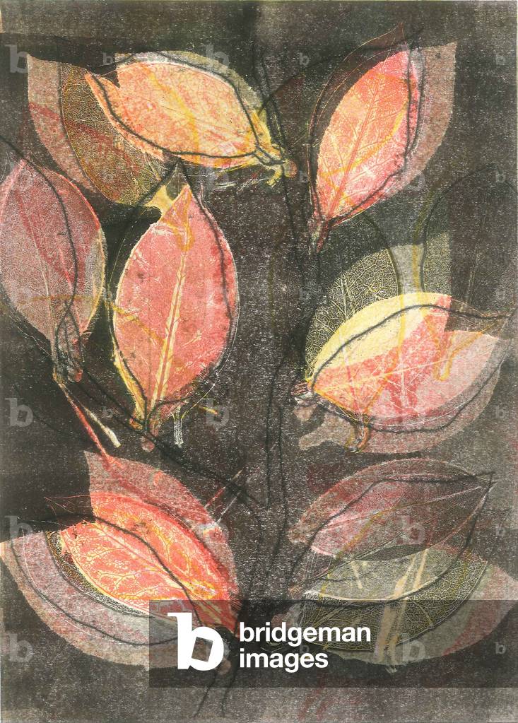 Midnight Garden V, 2015 (monoprint su carta)