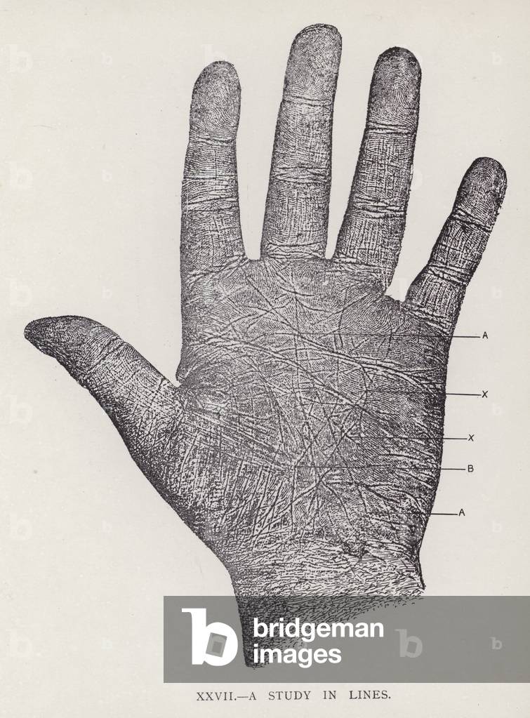 Image of Print depicting A Study in Lines (litho) 1801 by English Artist