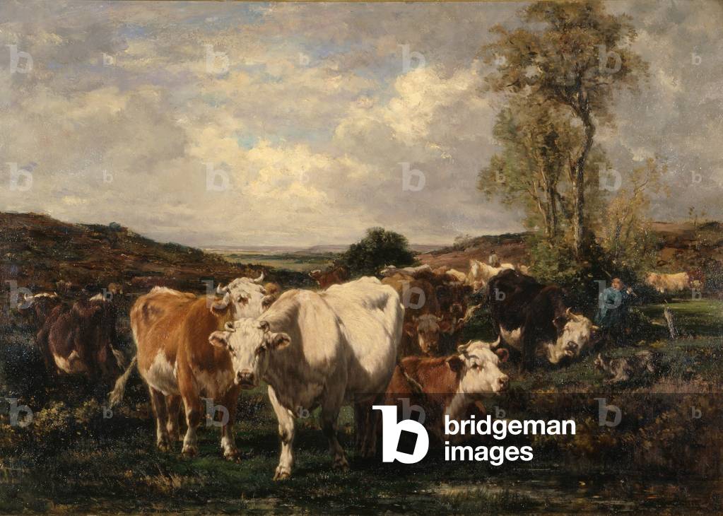 Herde (Öl auf Leinwand)