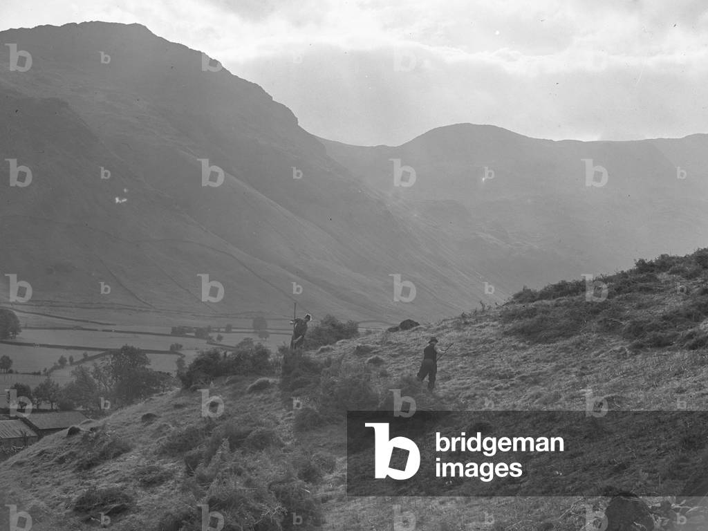 Image of Photography depicting Two men in a field cutting and gathering bracken 1930 by Joseph Hardman, b/w