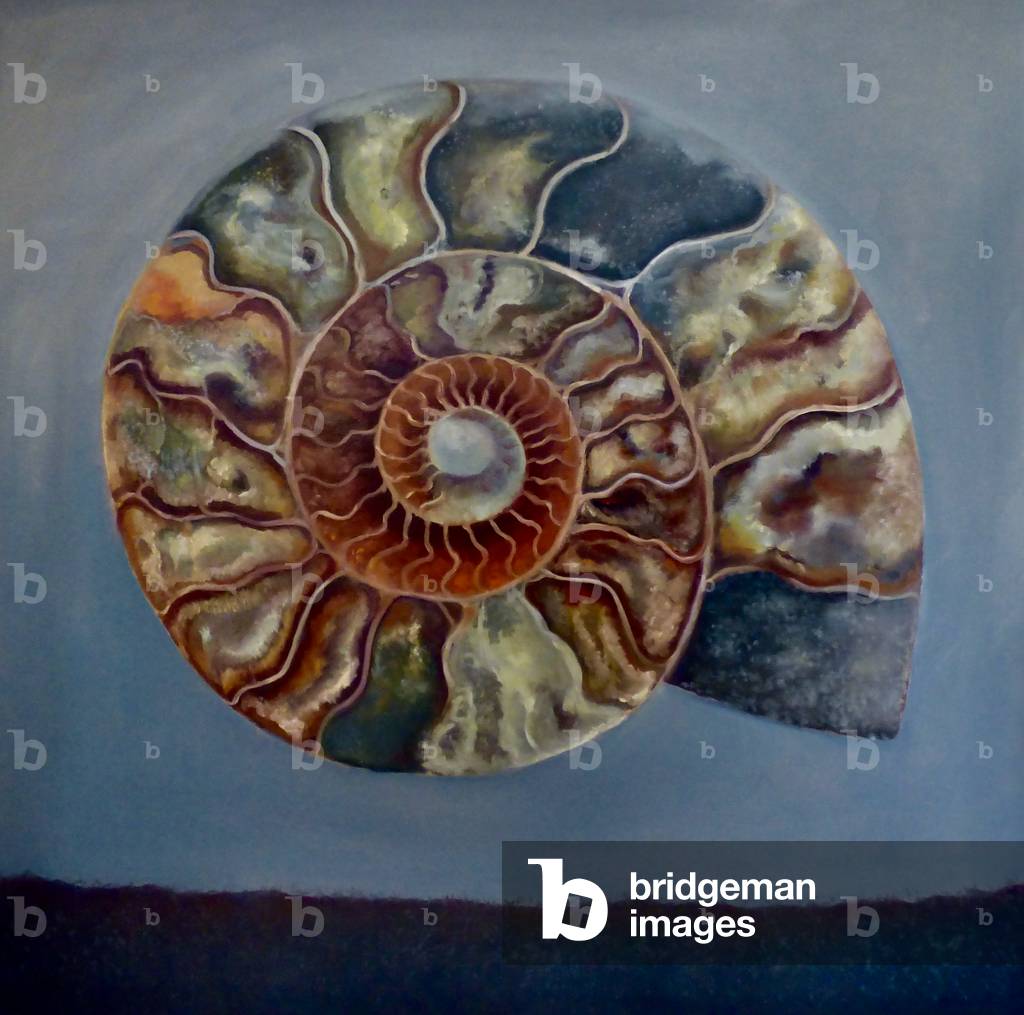 Ammonit, 2020 (Öl auf Leinwand)