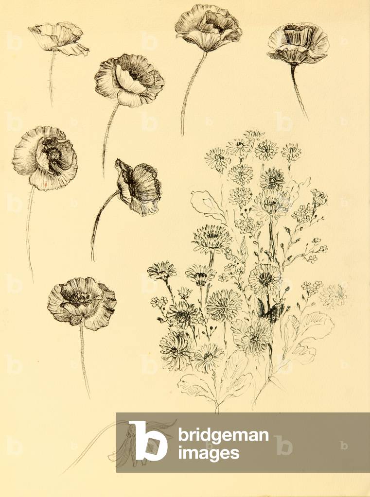 Immagine di Disegno "Fiori" 1966 di Nina Shirokova