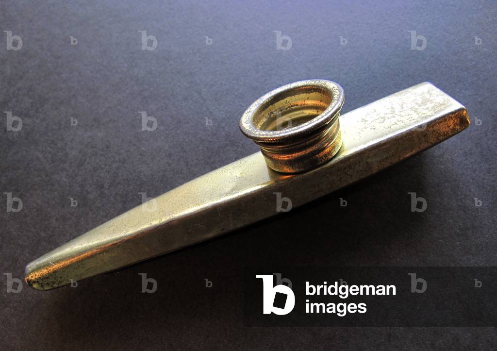 Immagine di Fotografia "Classico kazoo"