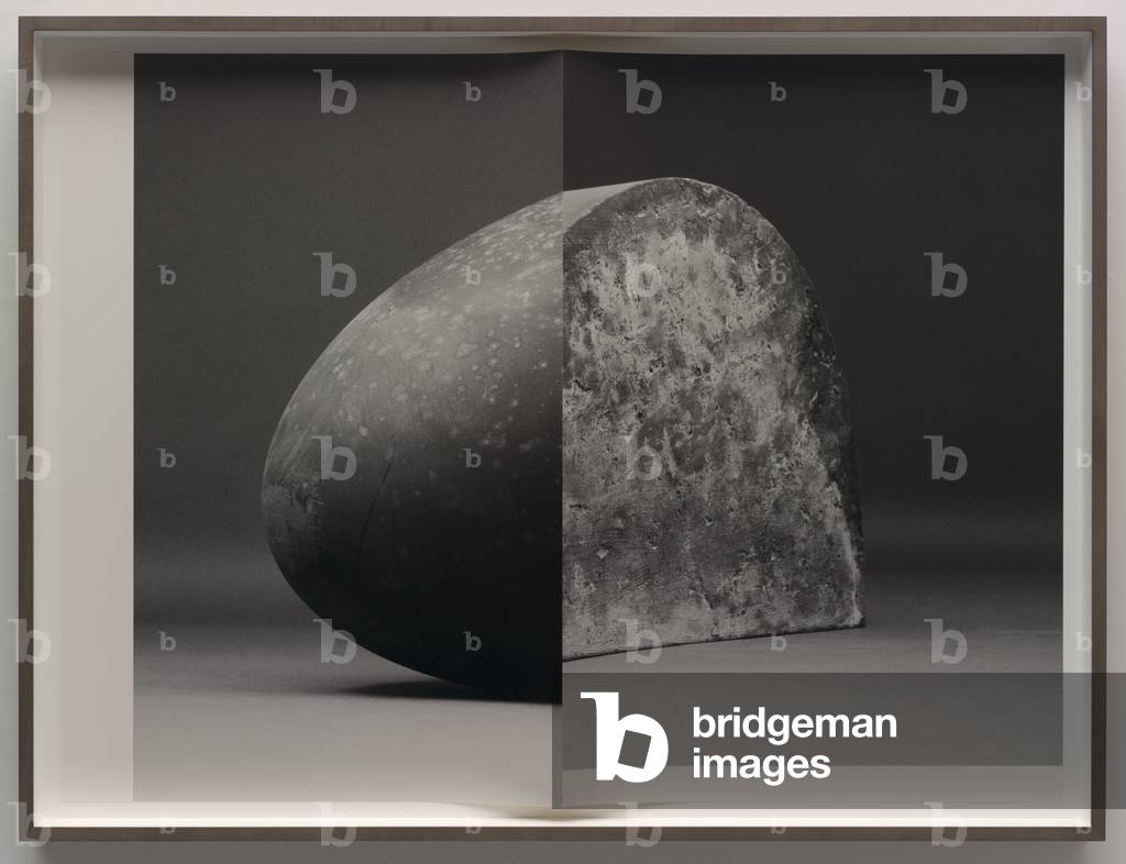 Image of Print depicting Fig. 11 2019 by Erin Shirreff