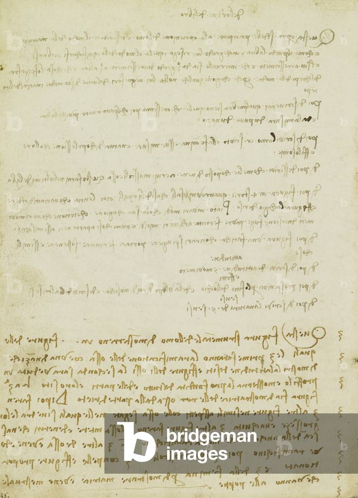 Immagine di Disegno "Verso: Note sulla struttura del trattato sull'anatomia" 1508 di Leonardo da Vinci