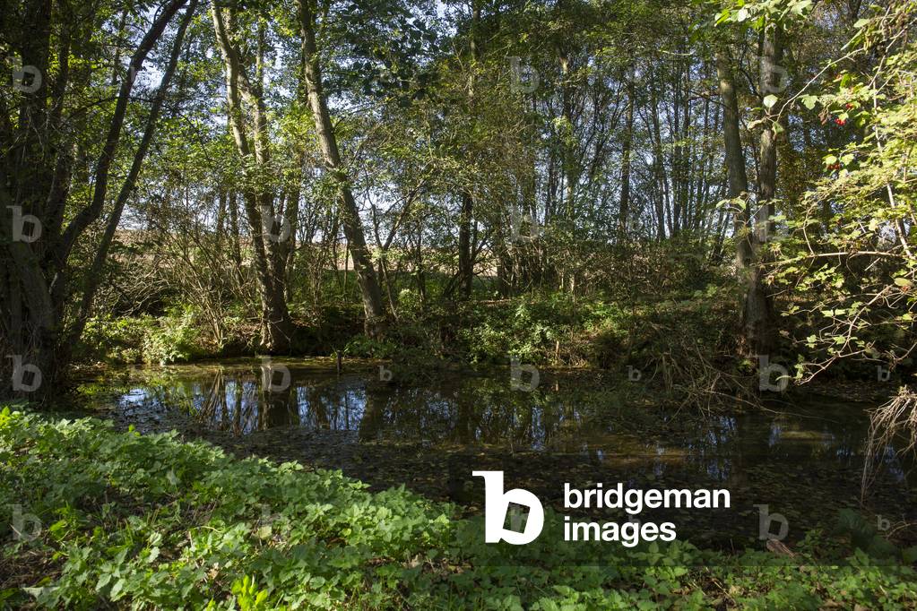 Bild von Fotografie "Wasseraufbereitungsanlage" 2018