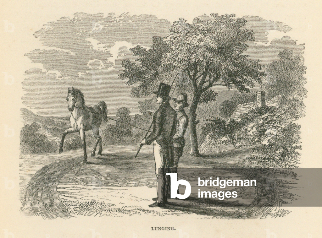 Image de Gravure représentant Lunging (gravure) 1801 par English School