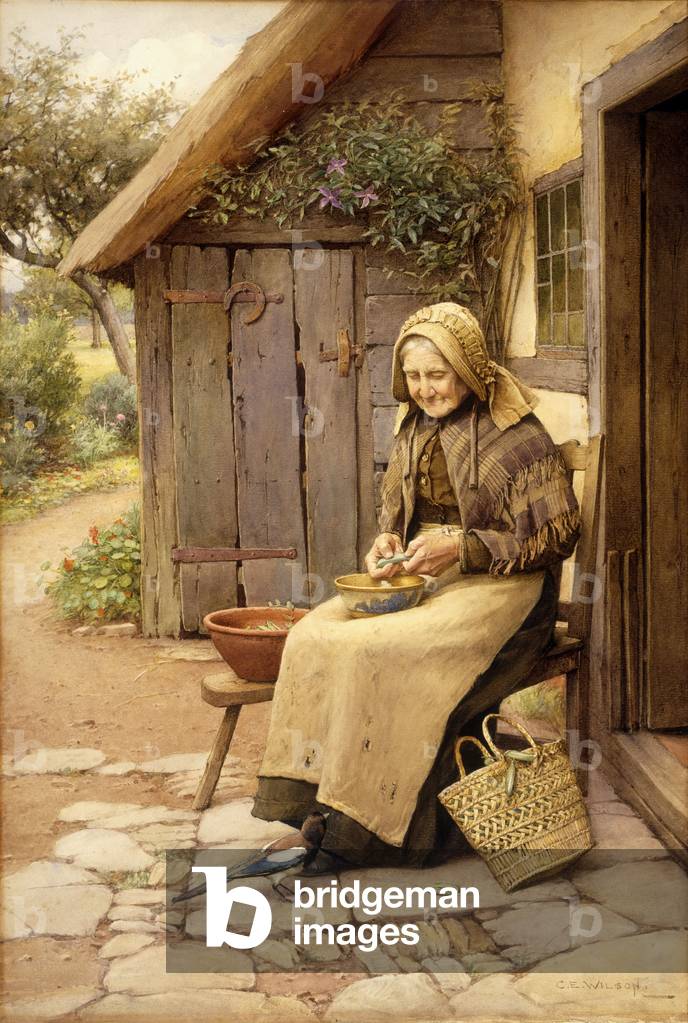 Bild von Zeichnung "Ein fein gefiederter Freund (w/c auf Papier)" von Charles Edward Wilson