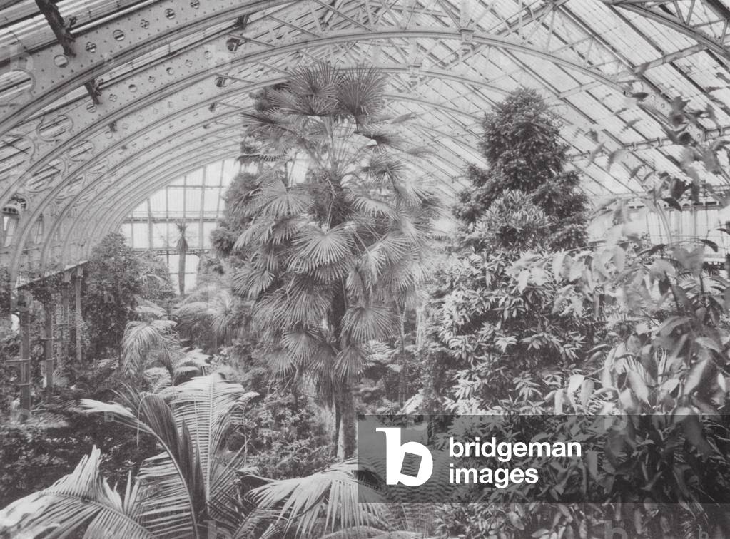 Kew Gardens, c.1900 (b/w photo)
